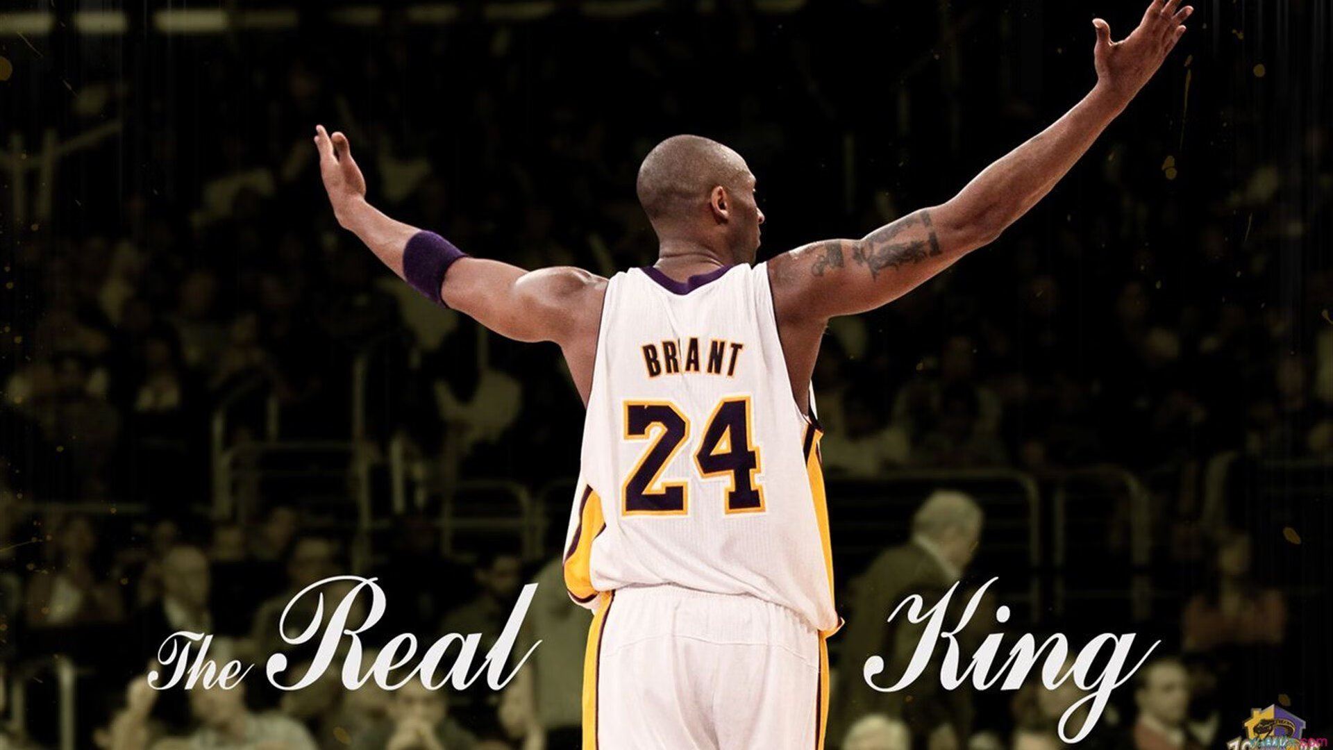 开云平台-北美本土选手逐渐崛起，北美rng